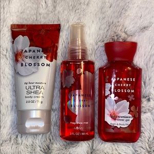 NWT Bath and Body Works Travel Set